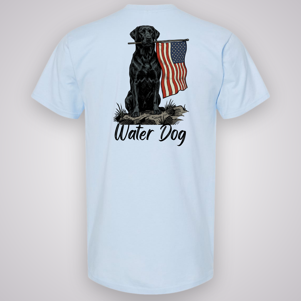 Ole Glory Classic Tee - Frost design mockup