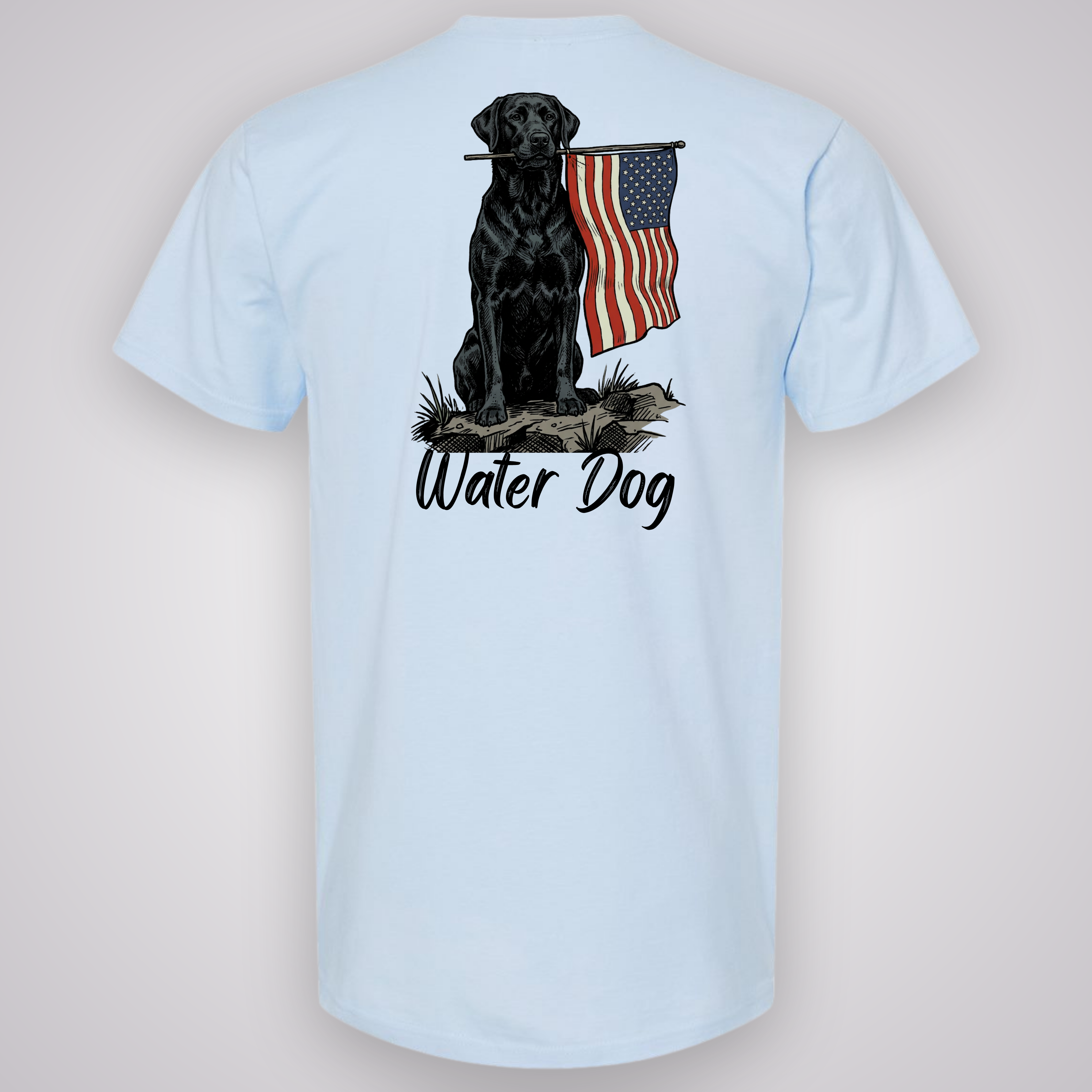 Ole Glory Classic Tee - Frost design mockup